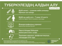 ИНФОГРАФИКИ