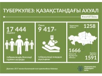 ИНФОГРАФИКИ