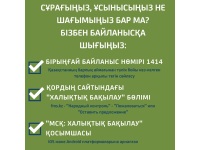 ИНФОГРАФИКИ