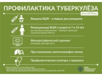 ИНФОГРАФИКИ