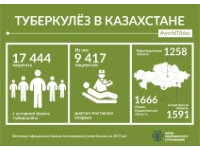 ИНФОГРАФИКИ
