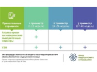 ИНФОГРАФИКИ